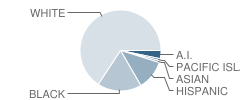 College Hill Elementary School Student Race Distribution