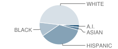 Franklin Elementary School Student Race Distribution