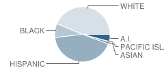 Gardiner Elementary School Student Race Distribution