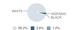 Lincoln Elementary School Student Race Distribution