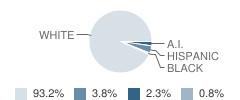 Williamsburg Elementary School Student Race Distribution