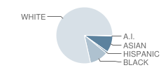 Athens-Chilesburg Elementary School Student Race Distribution