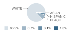 Royal Spring Middle School Student Race Distribution