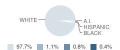 Bernheim Middle School Student Race Distribution