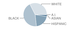 Madeline M Breckinridge Elementary School Student Race Distribution