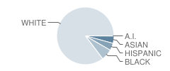 Jessie M Clark Middle School Student Race Distribution