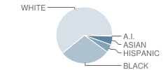 Julius Marks Elementary School Student Race Distribution