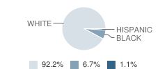 Cumberland Elementary School Student Race Distribution