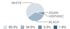 Fern Creek Elementary School Student Race Distribution