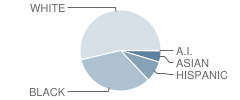 Kenwood Elementary School Student Race Distribution