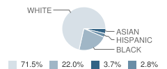 Saint Matthews Elementary School Student Race Distribution