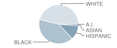 Cochrane Elementary School Student Race Distribution