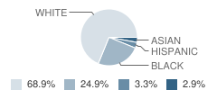 Hite Elementary School Student Race Distribution