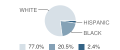 Eisenhower Elementary School Student Race Distribution