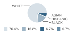 Dunn Elementary School Student Race Distribution