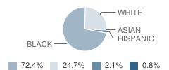 Foster Traditional Academy Student Race Distribution