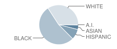 Hazelwood Elementary School Student Race Distribution