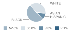 Shelby Elementary School Student Race Distribution