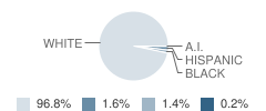 Hustonville Elementary School Student Race Distribution