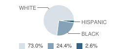 Mayfield Elementary School Student Race Distribution