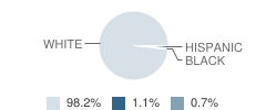 Boston Elementary School Student Race Distribution