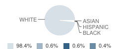 The New Haven School Student Race Distribution