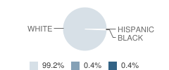 Boston Elementary School Student Race Distribution