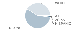 James Stephens Montessori School Student Race Distribution