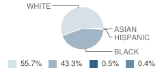 Copper Mill Elementary School Student Race Distribution