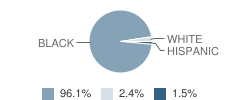 Greater Gentilly High School Student Race Distribution