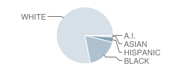 Central Intermediate School Student Race Distribution