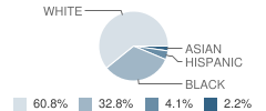 Caneview Elementary School Student Race Distribution