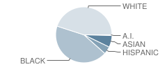 Marrero Academy for Advanced Studies Student Race Distribution