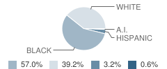 Louisiana School for the Deaf Student Race Distribution