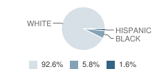 Richard Elementary School Student Race Distribution