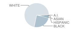 Dutchtown Middle School Student Race Distribution