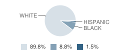 Castor High School Student Race Distribution