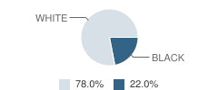 Saline High School Student Race Distribution