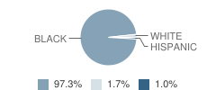 Ray D. Molo Middle Magnet School Student Race Distribution