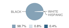 Washington / Marion Magnet High School Student Race Distribution