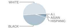 S. J. Welsh Middle School Student Race Distribution