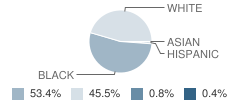 Block High School Student Race Distribution