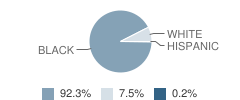 Mansfield High School Student Race Distribution