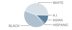 Baton Rouge High School Student Race Distribution