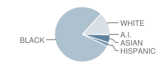 Broadmoor Elementary School Student Race Distribution