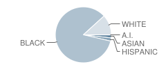 Tara High School Student Race Distribution