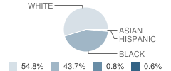 Winnsboro High School Student Race Distribution