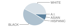 Westgate High School Student Race Distribution