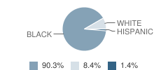 Dorseyville Elementary School Student Race Distribution