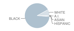 Iberville Elementary School Student Race Distribution